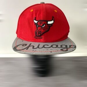 NBA Chicago Bulls Melonwear Snapback Hat BMO Harris Chema Skandal Basketball Cap